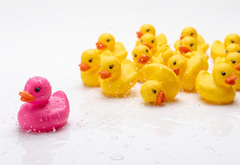 A pink rubber duck standing out from a crowd of yellow ducks